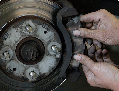 Más de 50 años de experiencia y compromiso